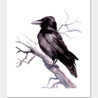 American Crow Posters and Art